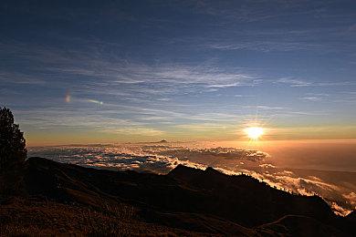 卡通风《星际朋克》7月14日开启抢先体验 今冬公测